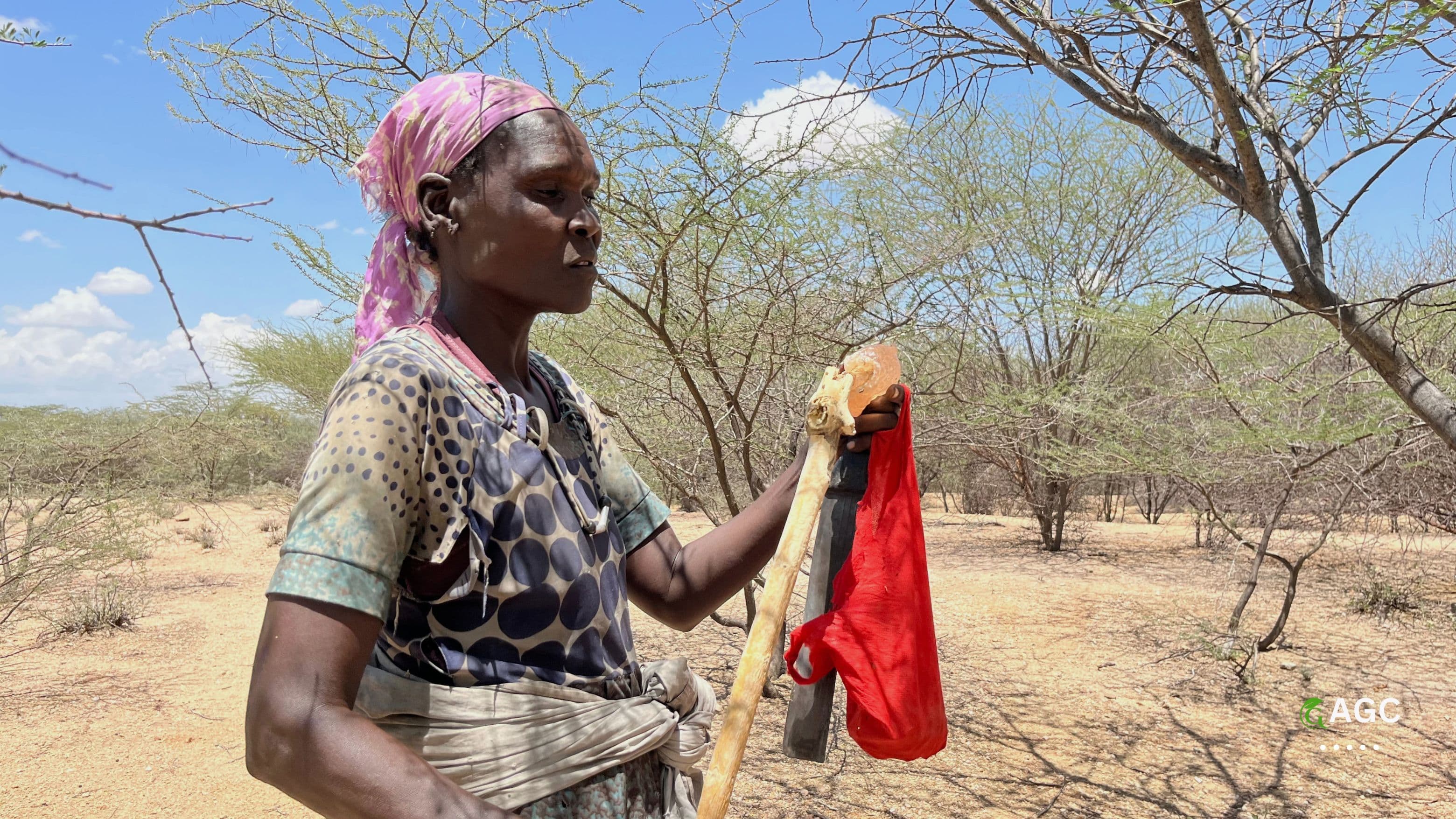 Baringo Gum Arabic Project