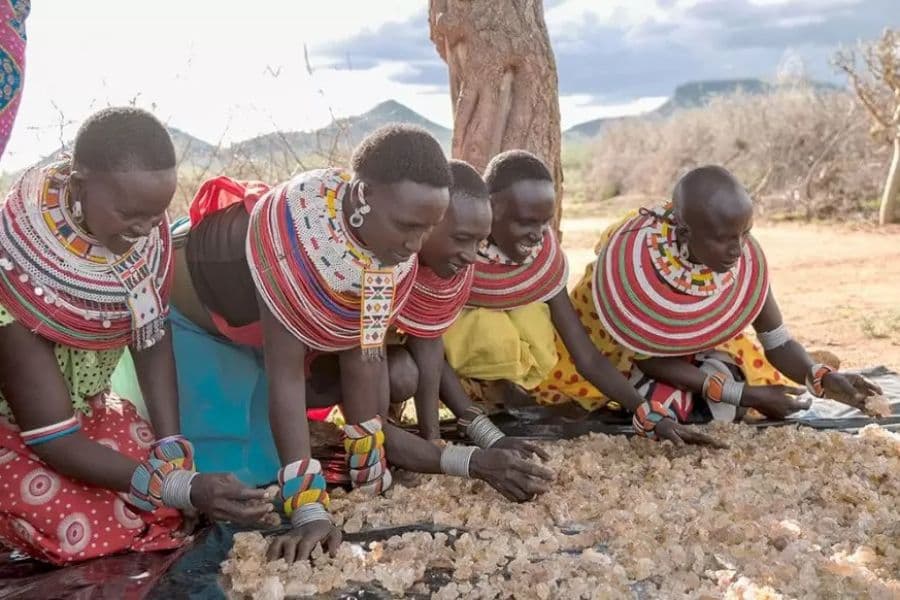 Community training session