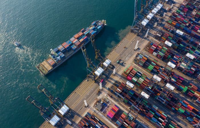 The Global Supply Chain: How Kenyan Gum Arabic Reaches International Markets